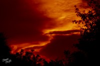 /album/landscapes/tramonto-show-jpg/